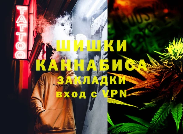 ешки Новодвинск