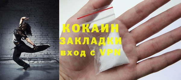 ешки Новодвинск