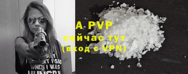 ешки Новодвинск