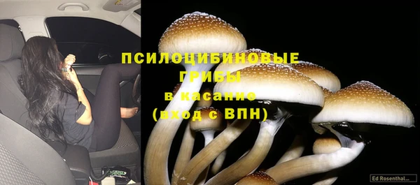 ешки Новодвинск