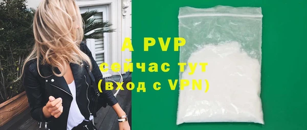 ешки Новодвинск