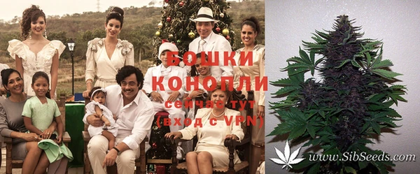 ешки Новодвинск