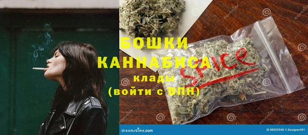 СК Новозыбков