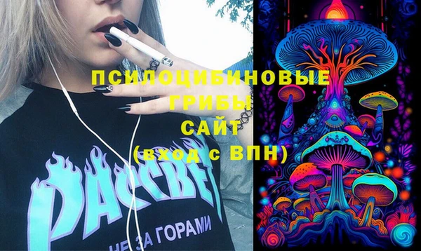 ешки Новодвинск