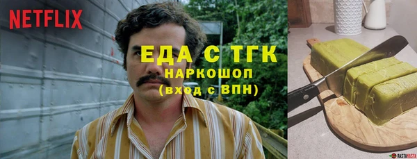 СК Новозыбков