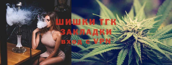 ешки Новодвинск