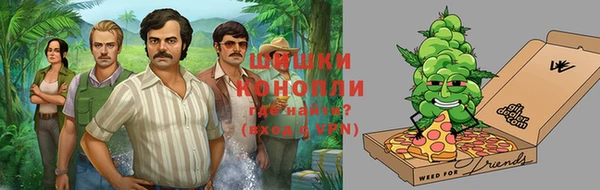 СК Новозыбков