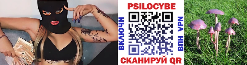 Галлюциногенные грибы Magic Shrooms  Хадыженск 